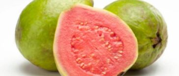 Guava Health Benefits 5 Reasons Why You Must Eat Amrood in Winters