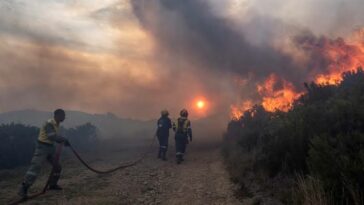 Devastating Simons Town fire rips through 450ha