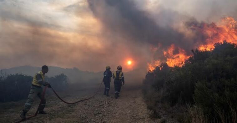 Devastating Simons Town fire rips through 450ha